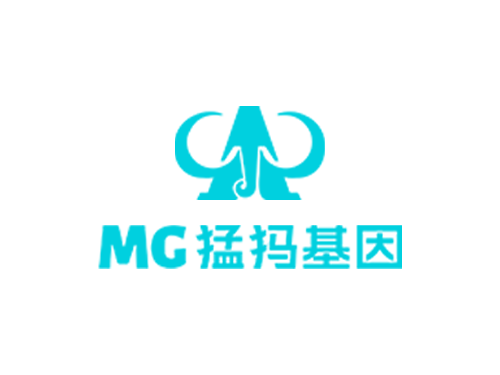 猛犸基因響應式網(wǎng)站